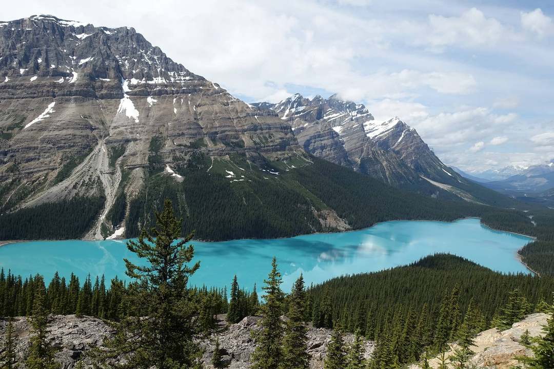 Bow Lake Jasper National Park Alberta