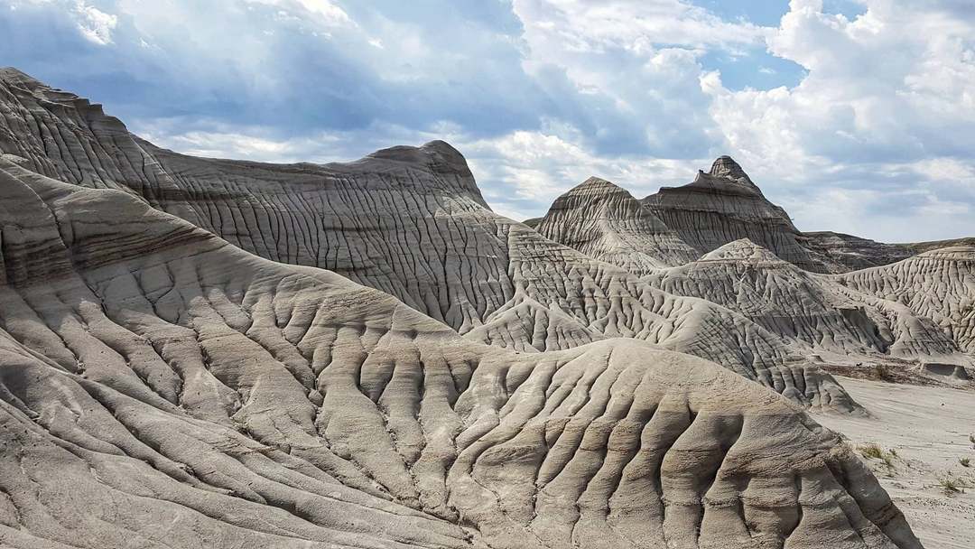 Dinosaur Provincial Park Alberta