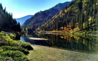 Best Things To Do In Washington State