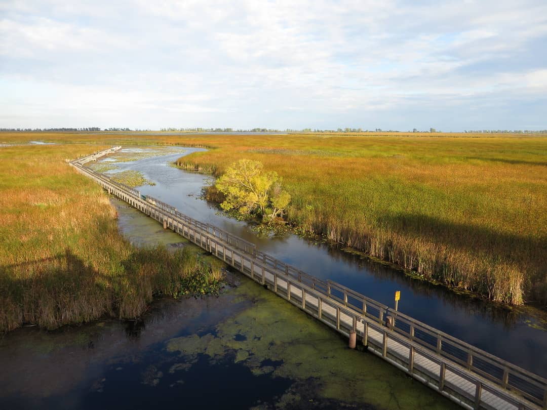 Point Pelee National Park