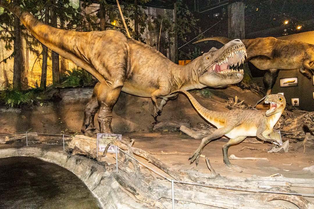 Royal Tyrrell Museum, Drumheller Alberta